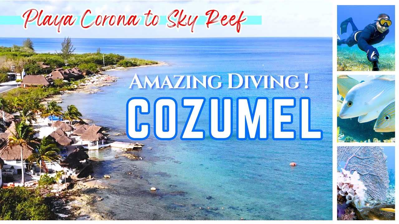 Snorkeling Diving Isla Cozumel, Mexico ! Playa Corona to Sky Reef