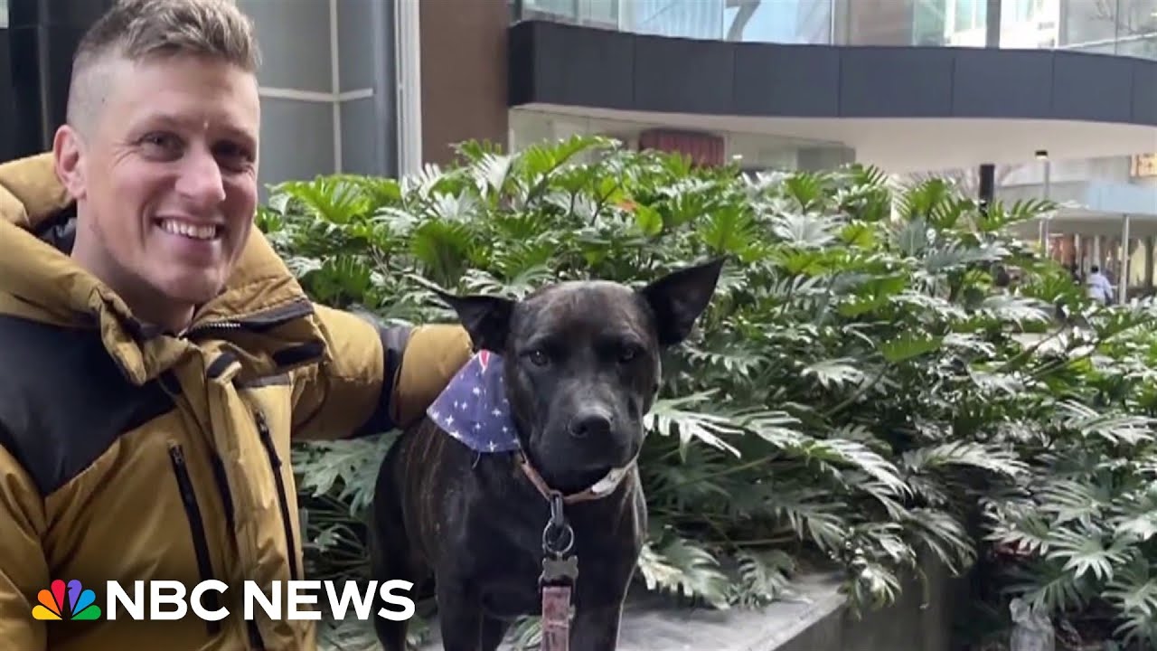Australian tech entrepreneur uses AI to create cancer treatment for his dog