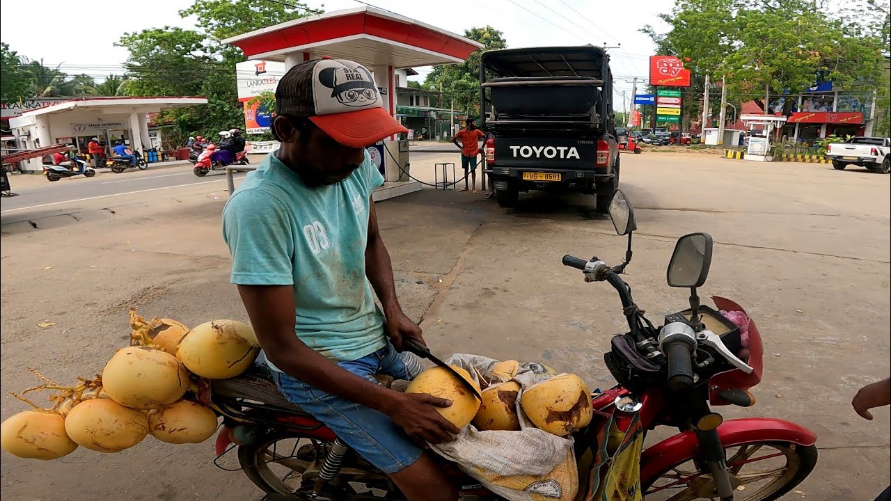 King Coconut  Business In Sri Lanka