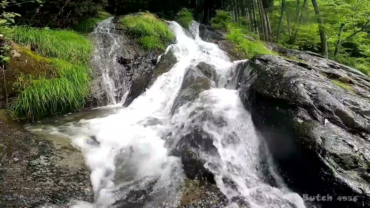 【530-31】【夢の滝】【東京都 檜原村】 【ブッチの3分タッキング】【202306】【1080ｐ60fps】【Japan waterfalls】