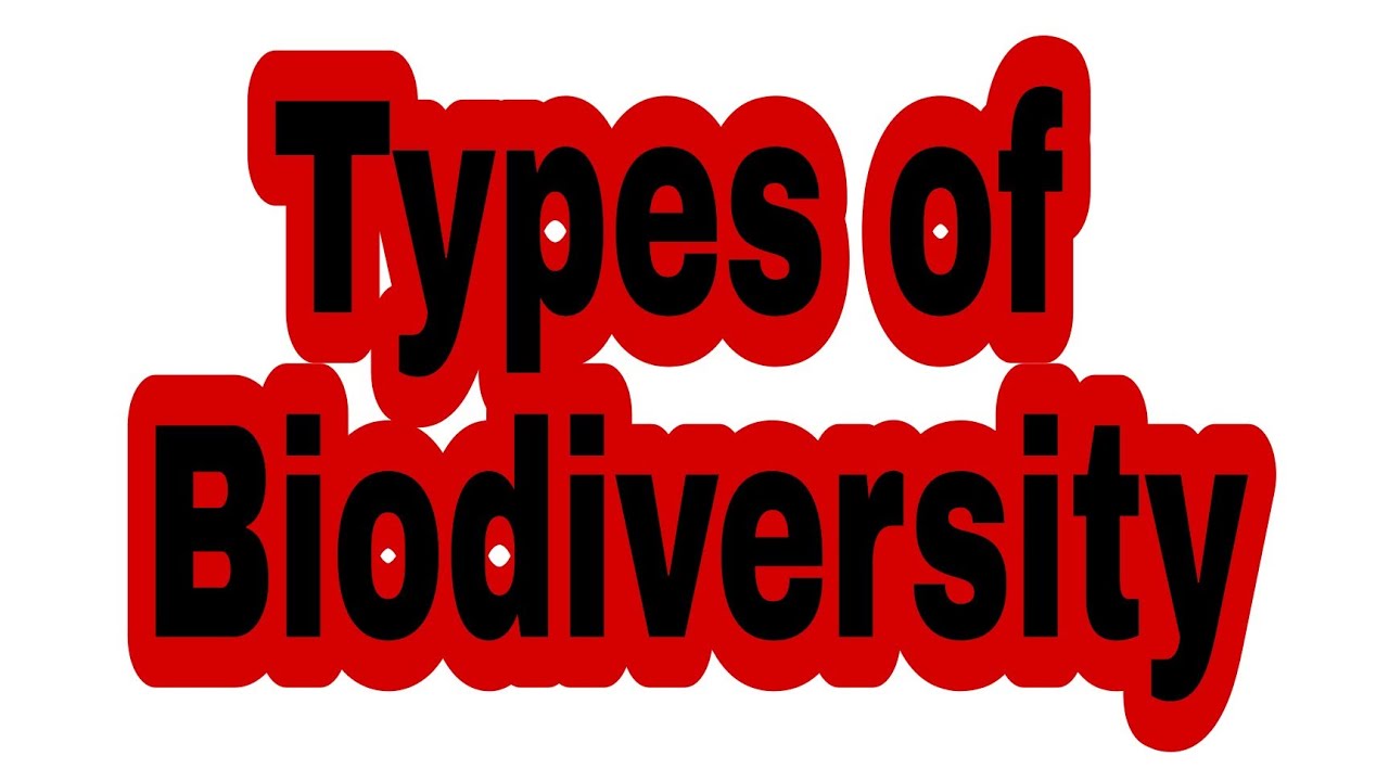Types of Biodiversity