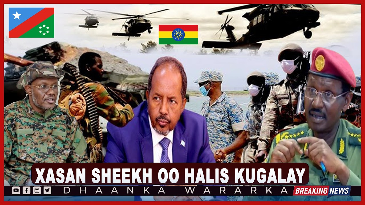 DEG DEG  Xasan Sheekh oo Caawa Halis ku galay Deegaanka Gandarshe, Laftagareen oo Ciidan duldhigay