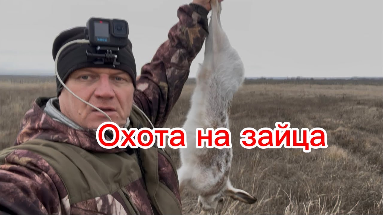 Охота на зайца/ ружьё Мр 43/дробь 3 и 1