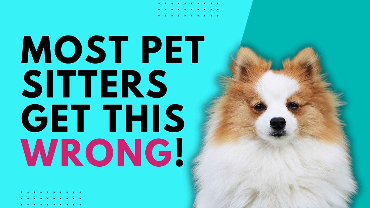 Most Pet Sitters Get This Wrong! | EPISODE 66