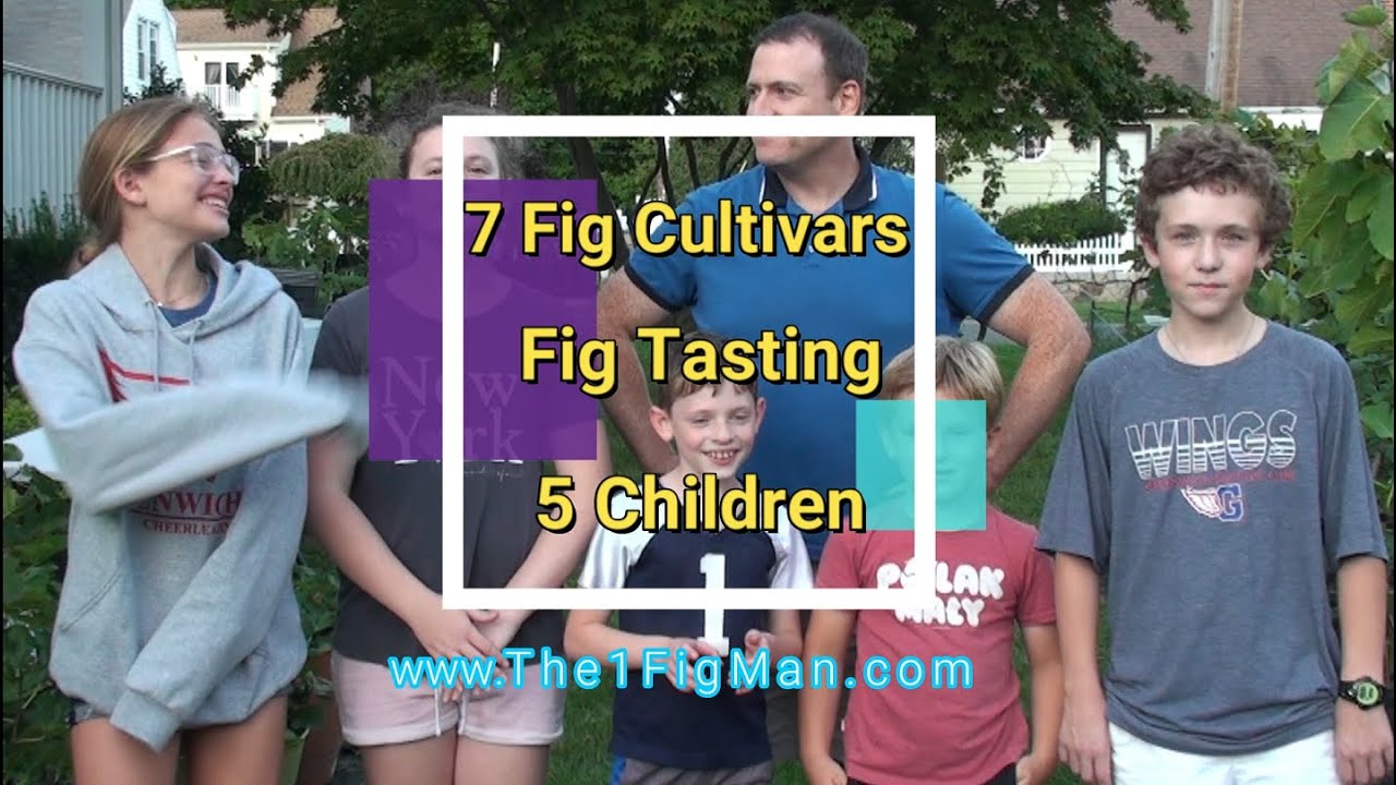 5 children react to 7 different type of figs!