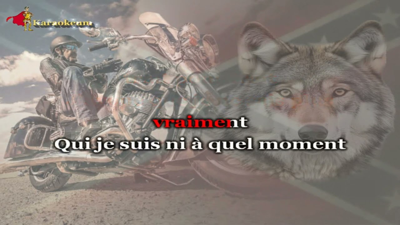 Johnny Hallyday - Autoportrait  [Karaoke]