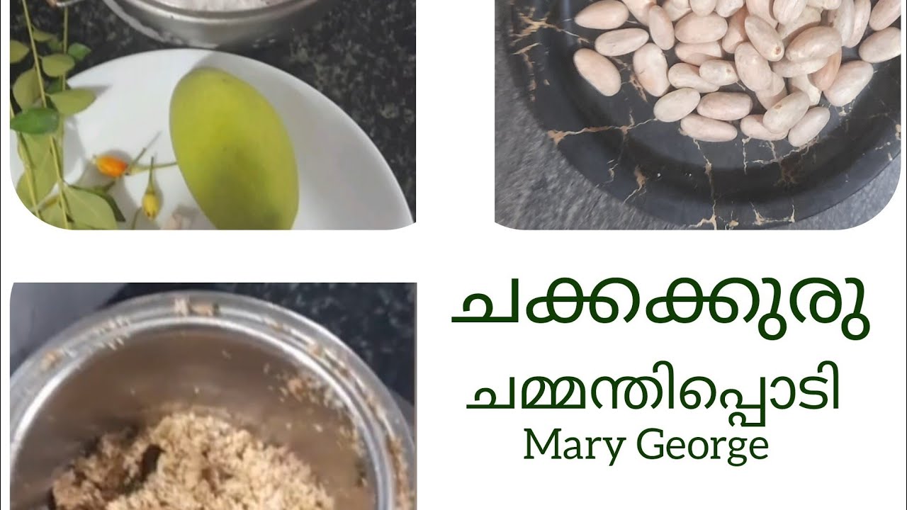 531: ചക്കക്കുരു ചമ്മന്തിപ്പൊടി 