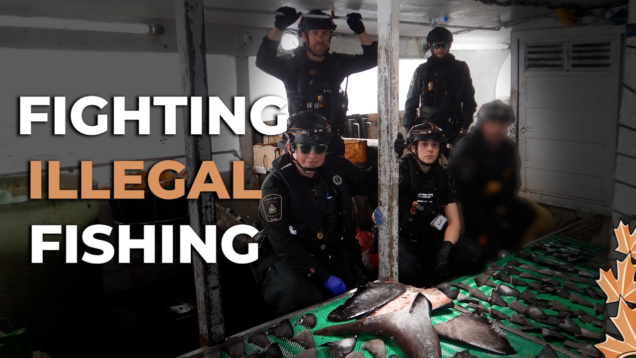 Combating Illegal Fishing in the Indo-Pacific: Operation North Pacific Guard 2025