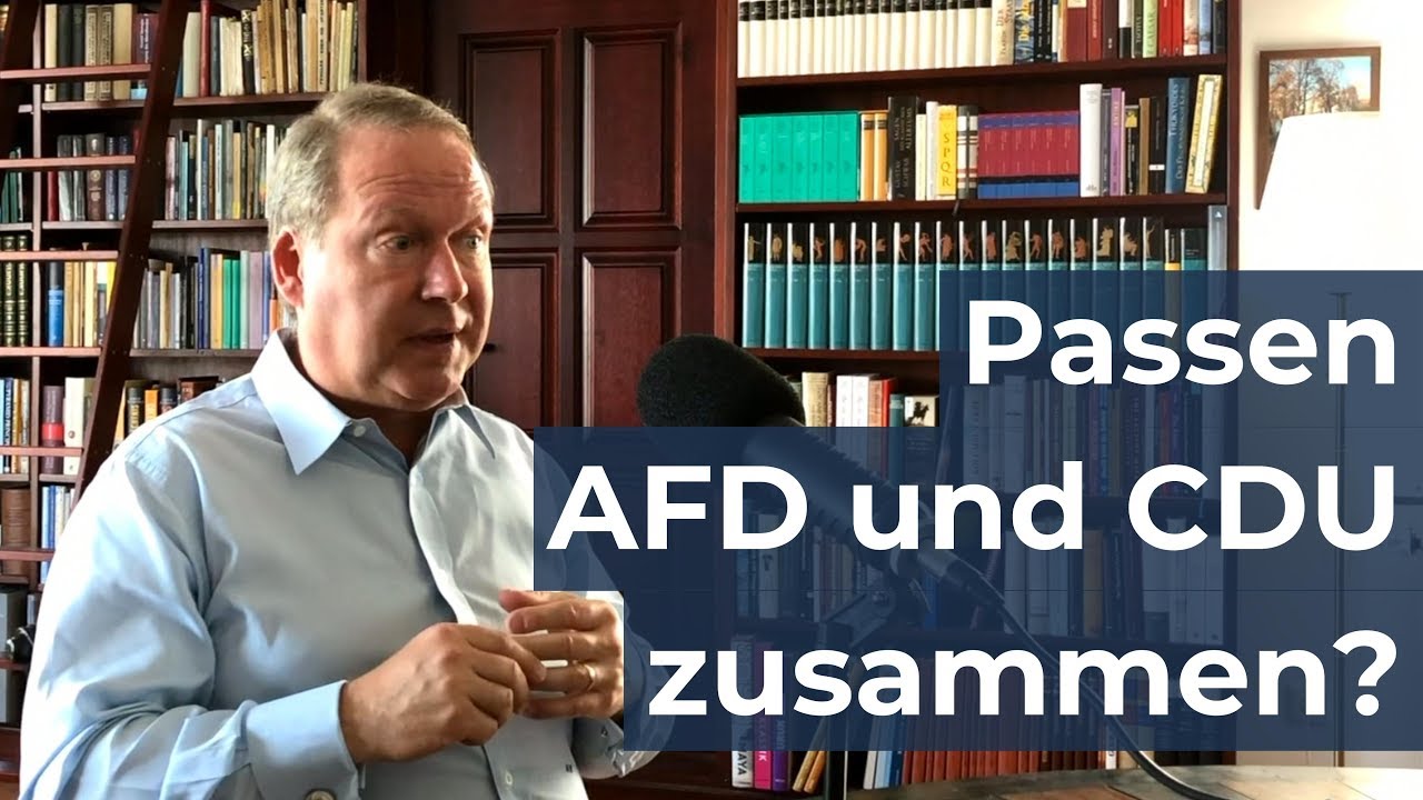 Das passiert aktuell mit AFD und CDU | Max Otte