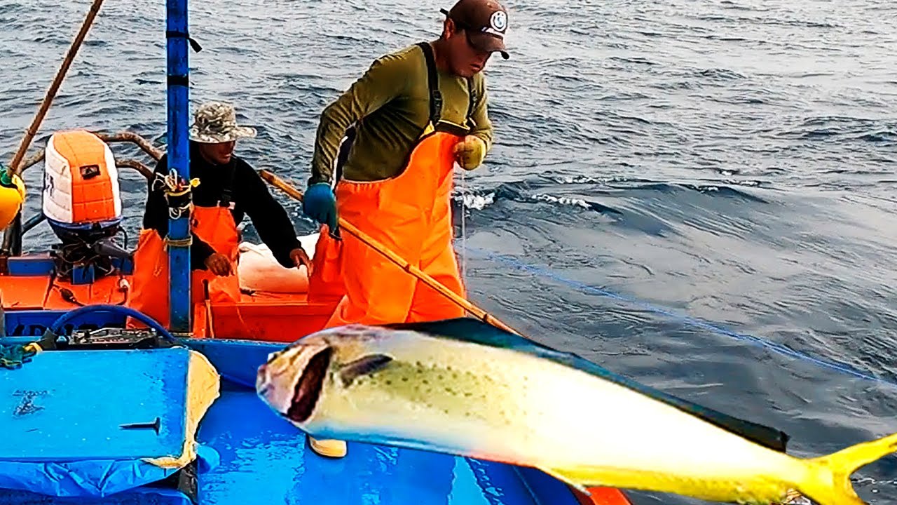 Mahi mahis GIGANTES explotan en la superficie capturados desde una pequeña embarcación