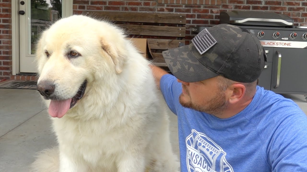 Telling Them GOODBYE Never Gets Any Easier