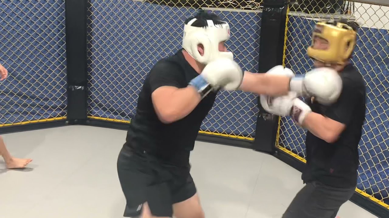 헤비급 복싱 풀스파링 빅메치/헤드기어는 좋은것 써야함