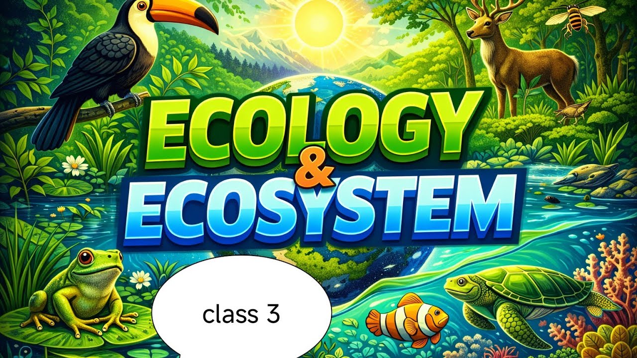 Environment science EVS class -3 important for HTET NVS KVS CTET DSSSB and CET mains exam 