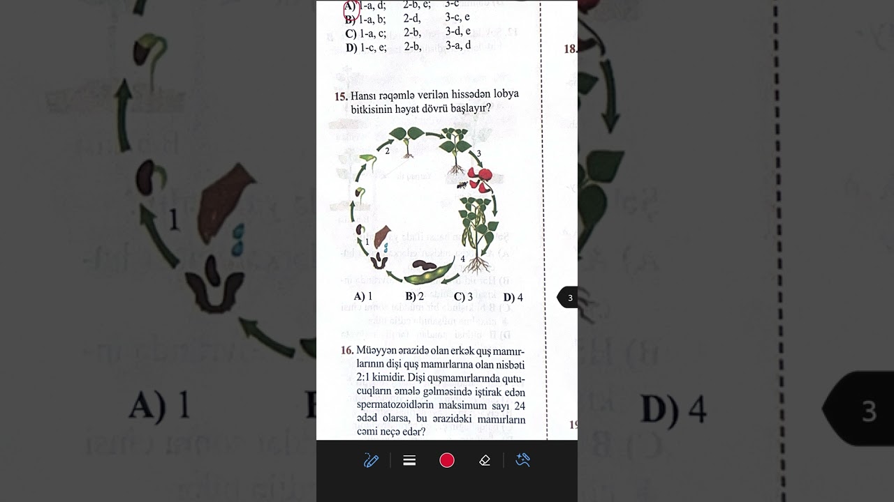 Camal Kərimov RFM hazırlıq vəsaiti Bölmə 3 sınaq 4 #rfm #rfmbiologiya#biology #biologiya 