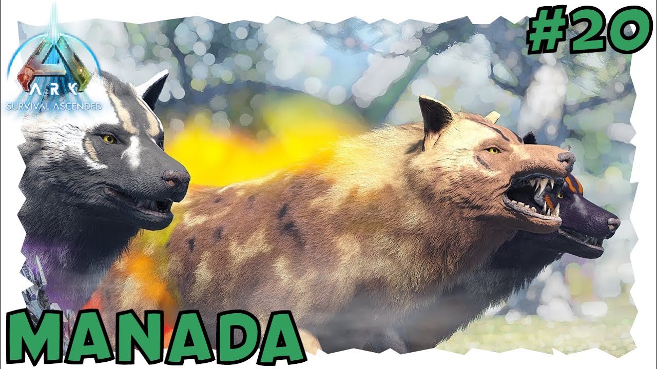 COMENZANDO UN EJERCITO DE LOBOS 🦖🦕 ARK Survival Asdended Gameplay