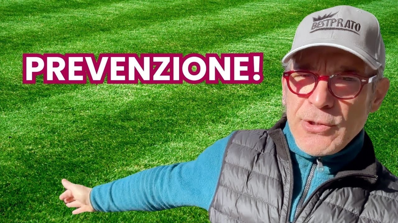 Settimana della Prevenzione: proteggi il tuo prato ora!