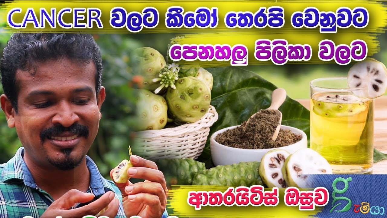 දියවැඩියාවට වගේම පිලිකාවලට කීමො තෙරපි වගේම ප්‍රතිඵල දෙන ගුප්ත රහස් ගෙඩිය