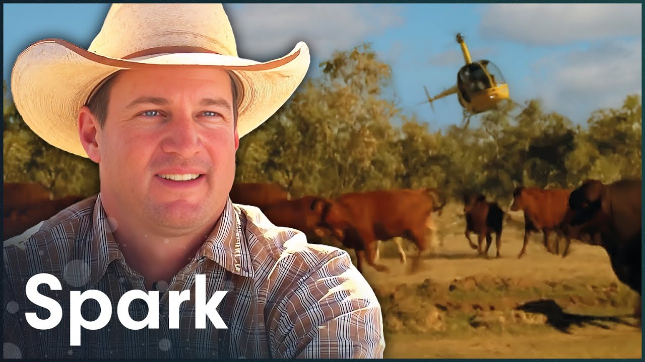 The Australian Farm So Big They Use Helicopters To Herd Cattle | Big Australia