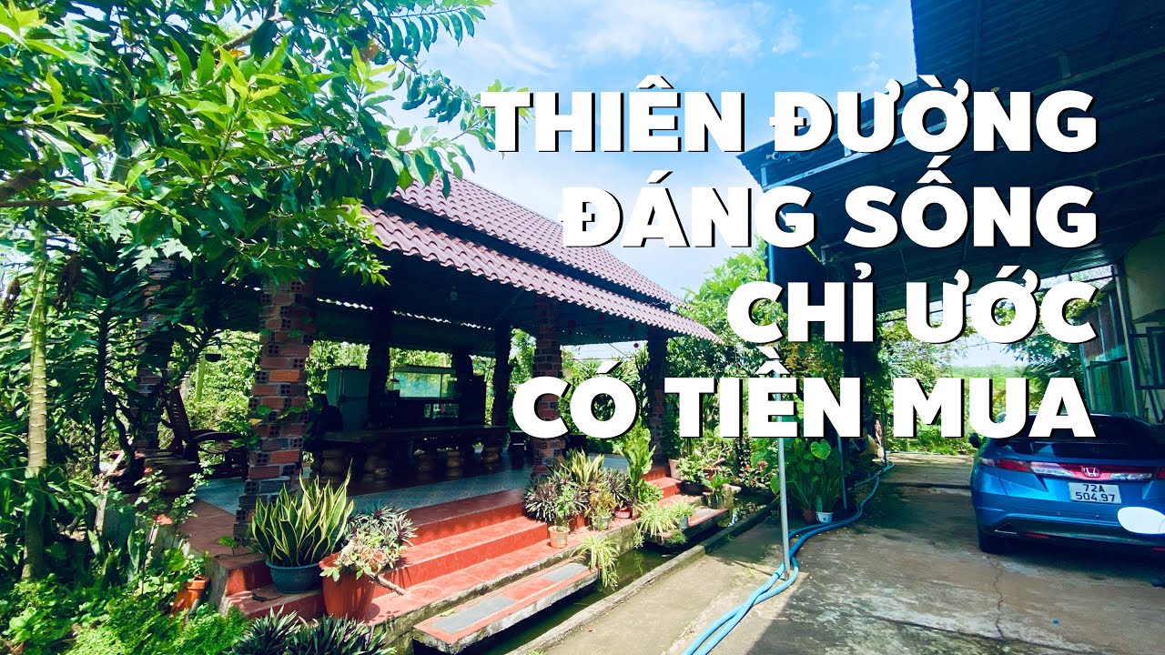 Mê ly! Chỉ nhỉnh 2 tỷ toàn bộ nhà vườn đồ sộ ở BR-VT với đủ loại cây trái