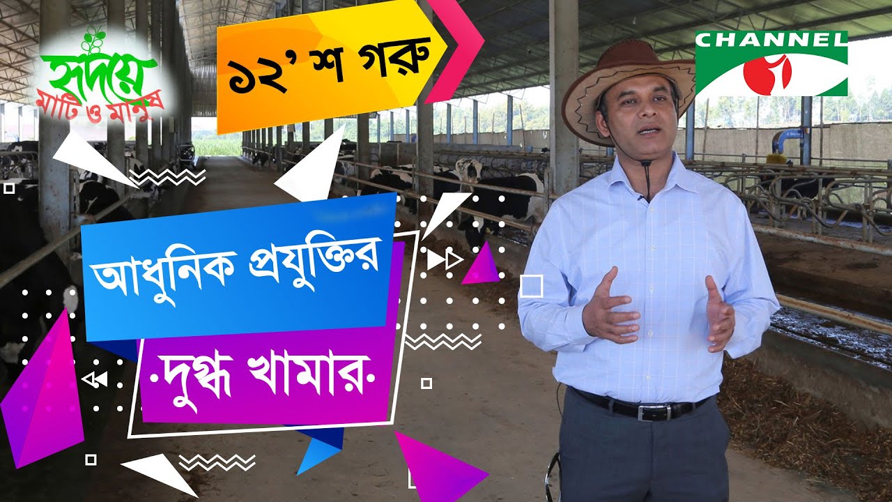 উন্নতবিশ্বের আধুনিক দুগ্ধ খামার নাহার ডেইরি ফার্ম | Shykh Seraj | Channel i |