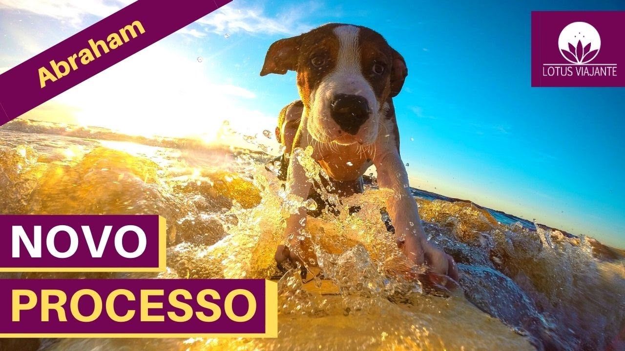 Abraham 2020 - Novo processo 