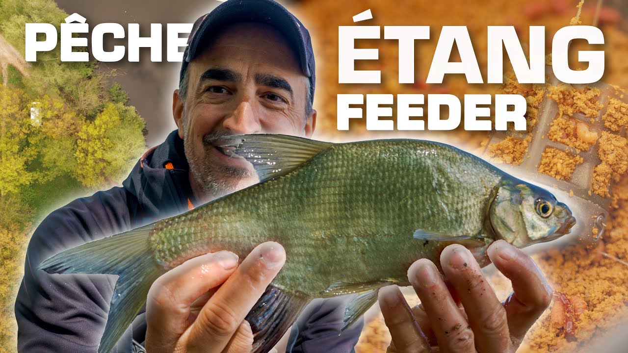 LA PÊCHE EN ÉTANG AU FEEDER - Mes conseils, techniques et astuces pour prendre des poissons.