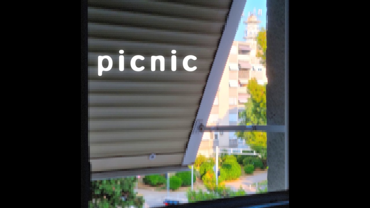 Picnic