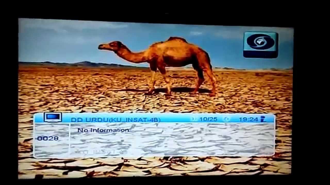 DD Free Dish Channel list as on 25.10.2015