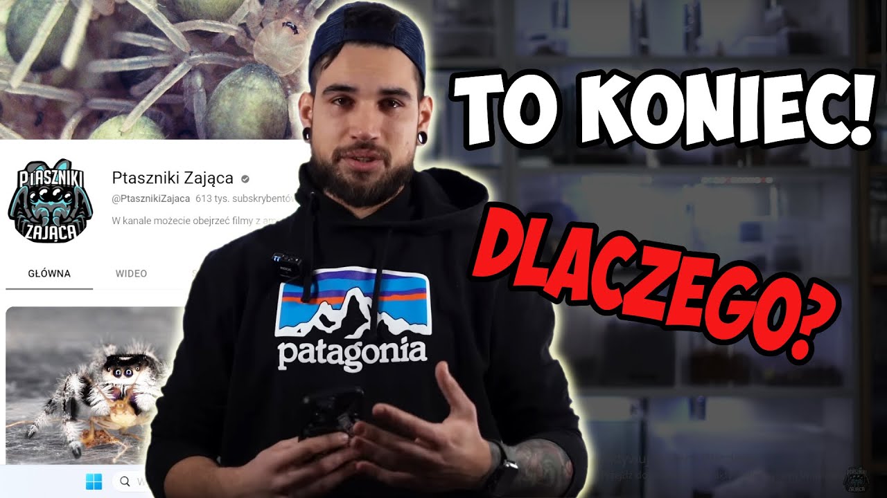 DLACZEGO ZAJĄC ZAKOŃCZYŁ KARIERE?