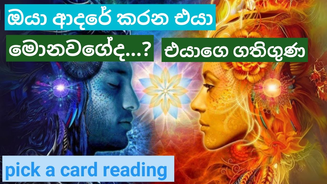 ඔයා ආදරේ කරන එයා මොනවගේද..?(pick a card reading)