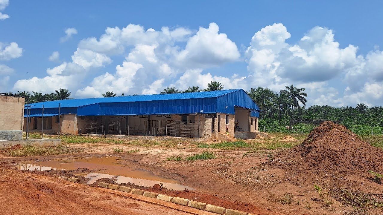 AMO FARM ROAD IN IKPOBA-OKHA A 10,000 CHICKEN PROCESSING PLANT