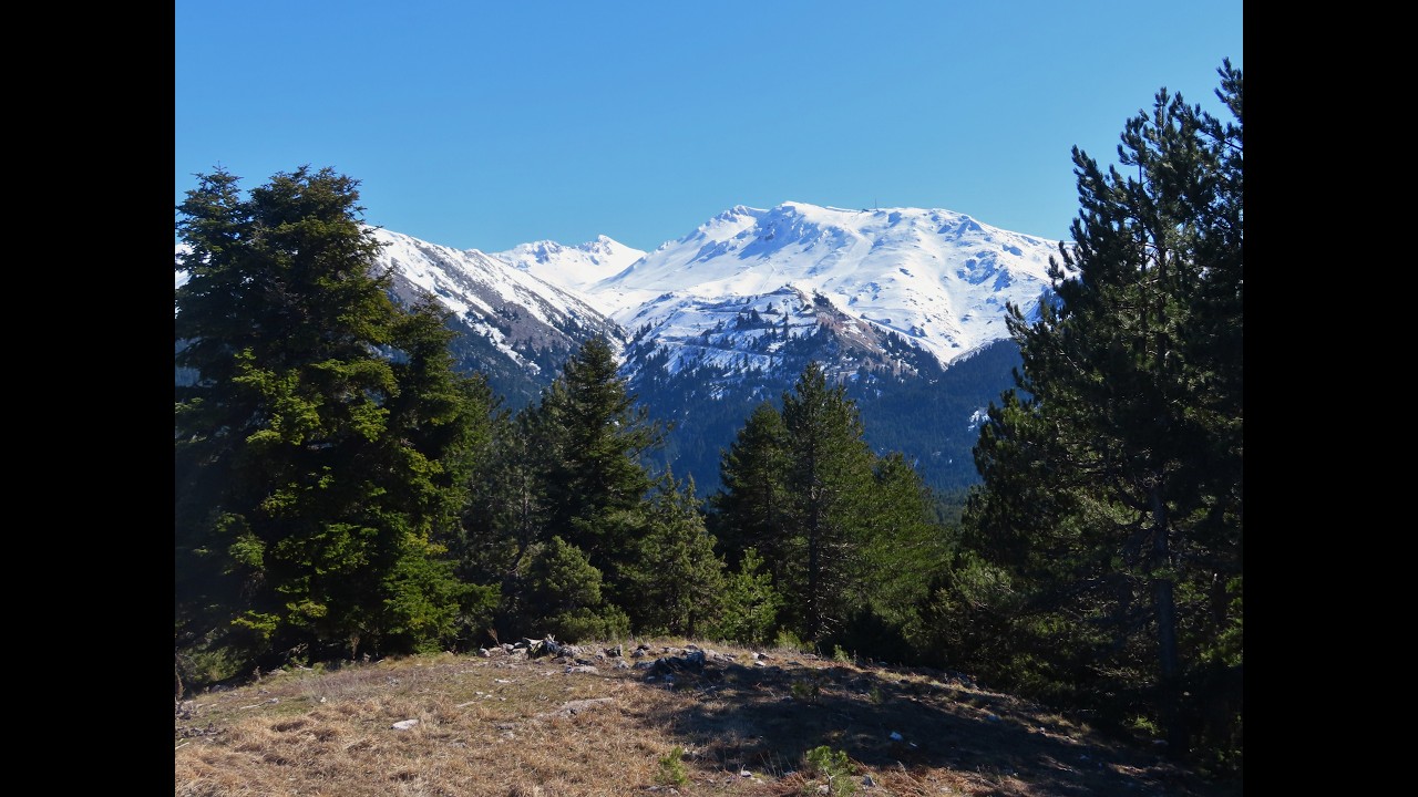 Όρος Παρνασσός, κορυφή Μεγάλη Τούφα(1593μ.) - Mt.Parnassus at Megali Toufa peak