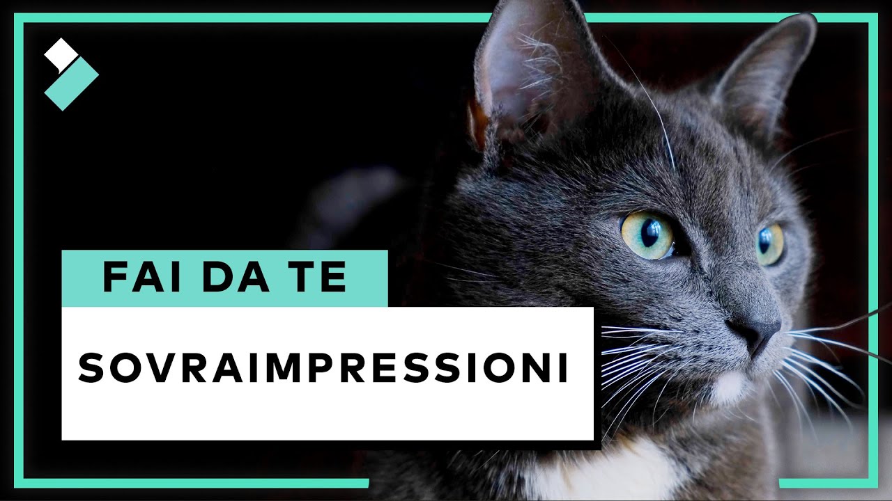 Sovraimpressione Unico per Te! | Wondershare Filmora X Tutorial