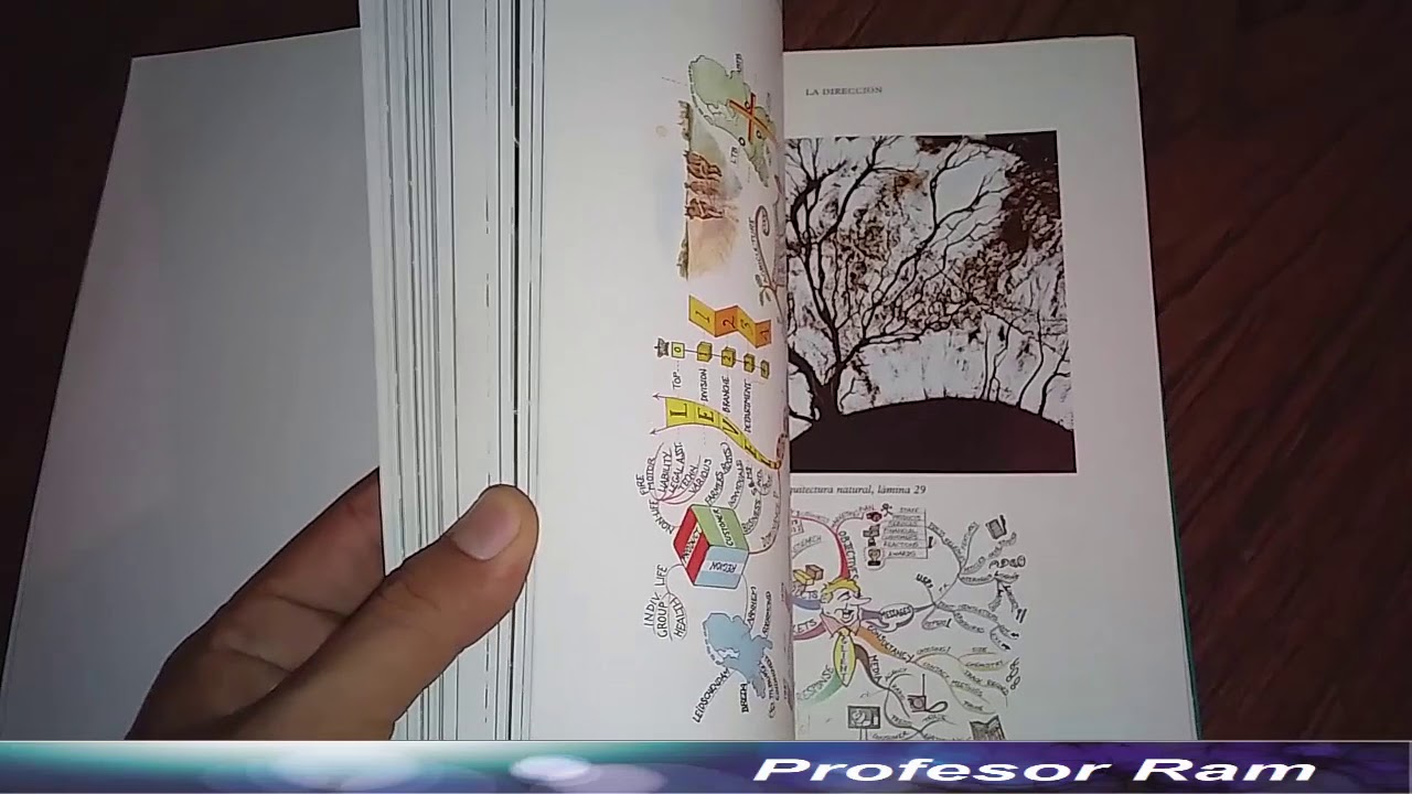 Breve rese&ntilde;a del Libro de los mapas mentales