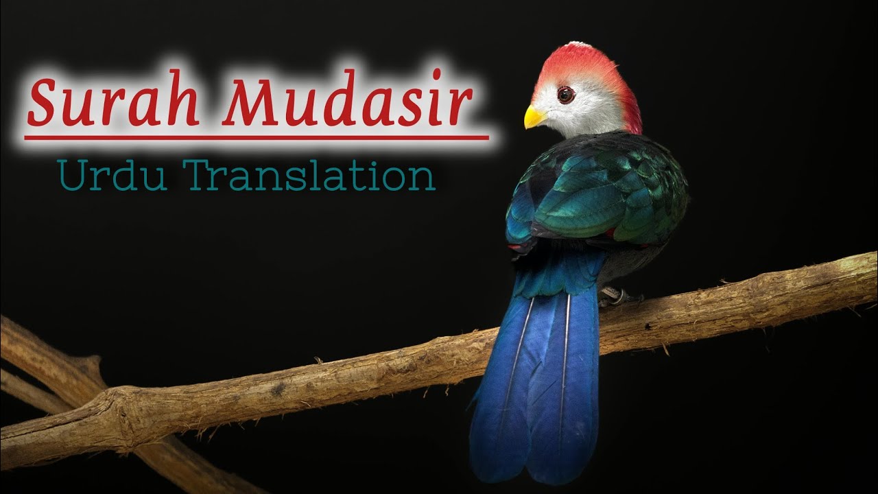 Surah Mudasir | Quran Urdu Translation 
