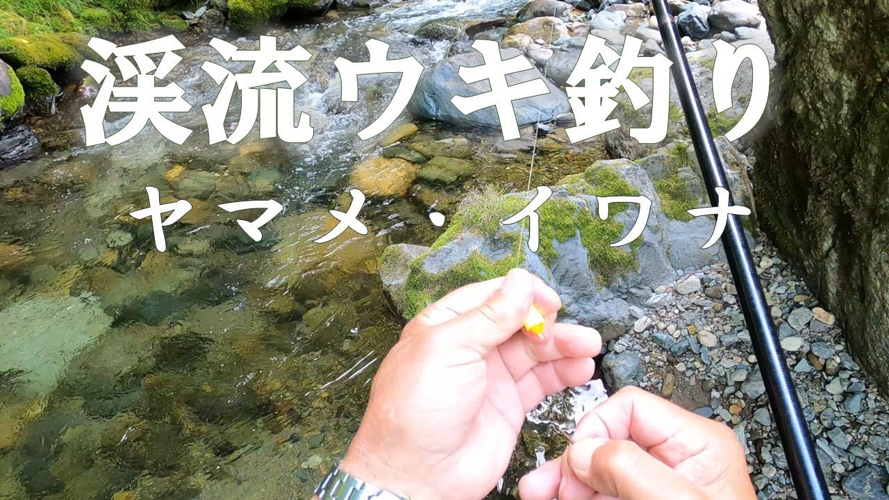 【渓流ウキ釣り】ヤマメ・イワナ