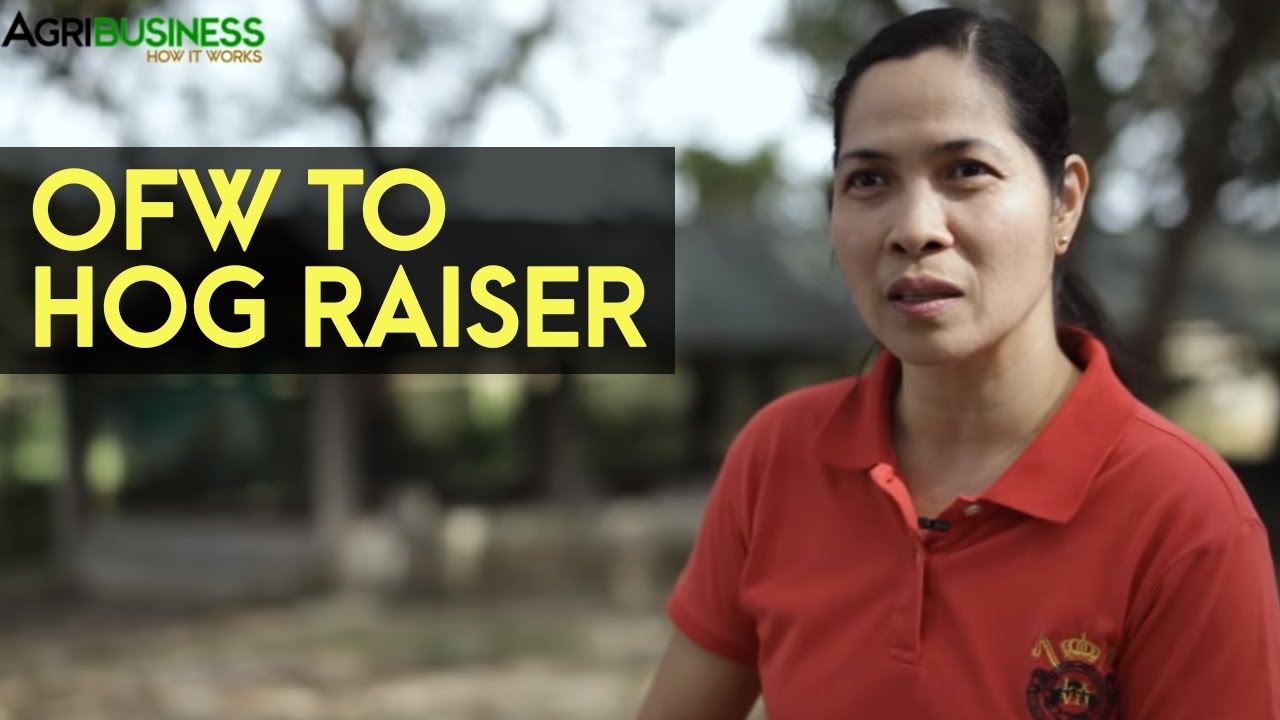 Backyard Hog Raising Success Story: OFW to Hog Raiser | Agribusiness B-MEG Episode 13