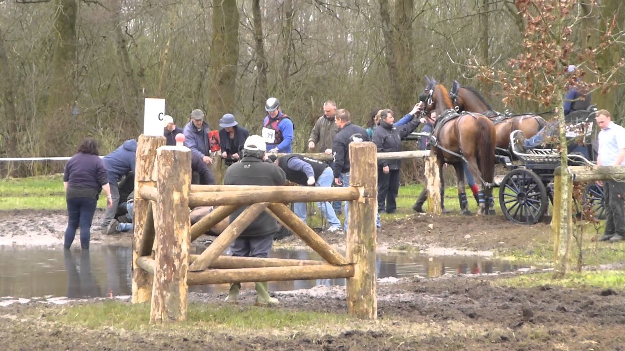 PEEL, Mark, AUS, CAI2 Ermelo NED 2016, Horse Four in hand, Marathon Ob 4