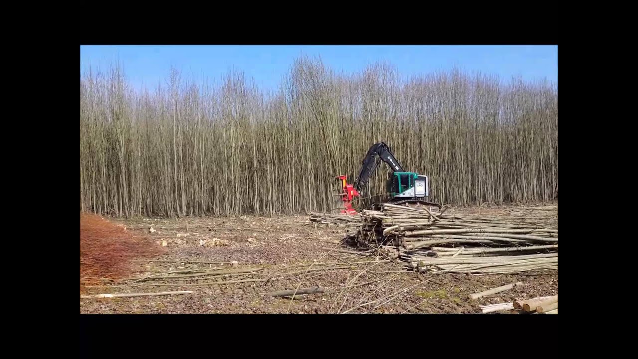 Timberpro TN725C and Quadco 21SC