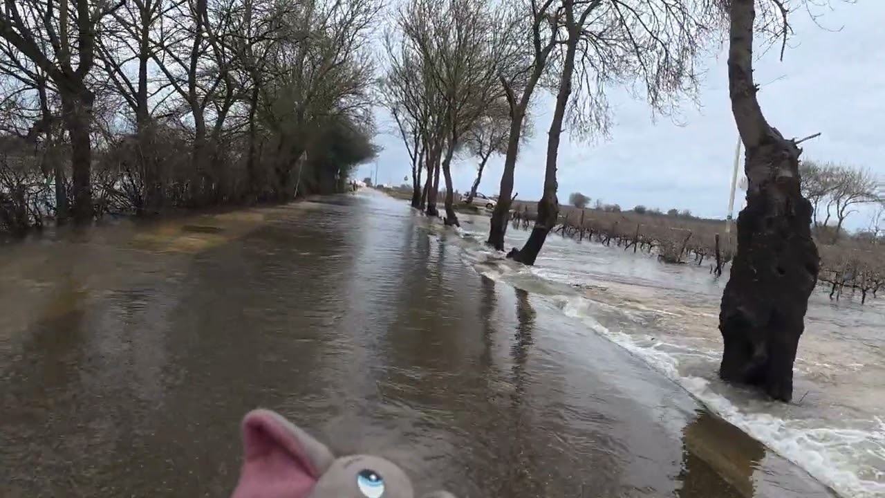 DJI 20260216152356 0010 D