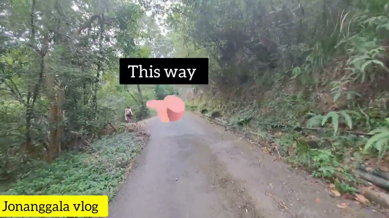 How to go to Shek Fan Tam (Kau Lung Pool) Fanling Hongkong