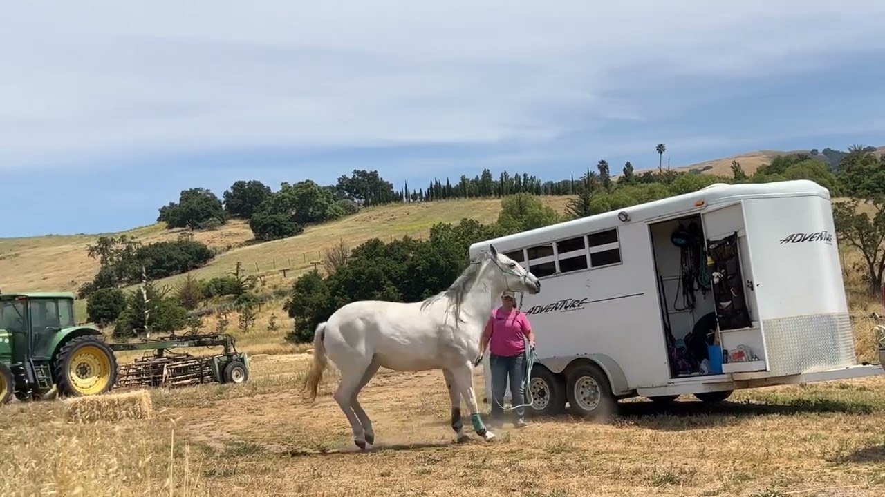 Day 8 of POS with Dori — working at the trailer