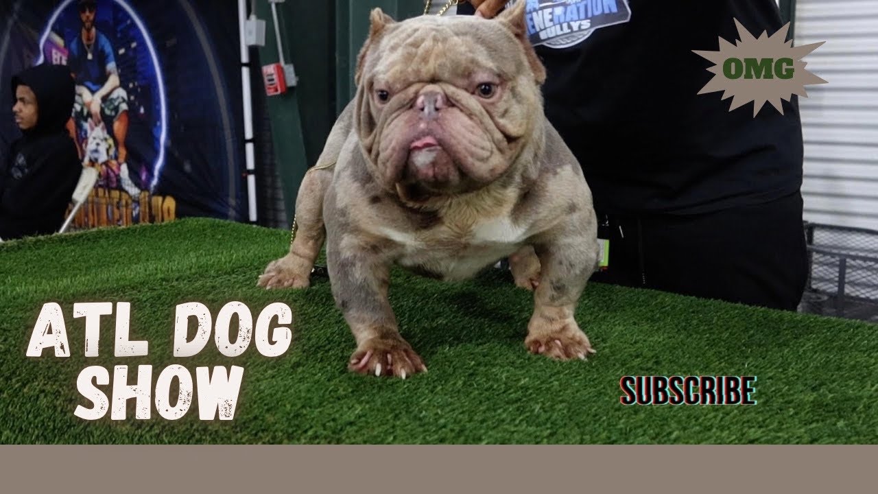 Atlanta Dog Show "One Big Sanctioned Show"