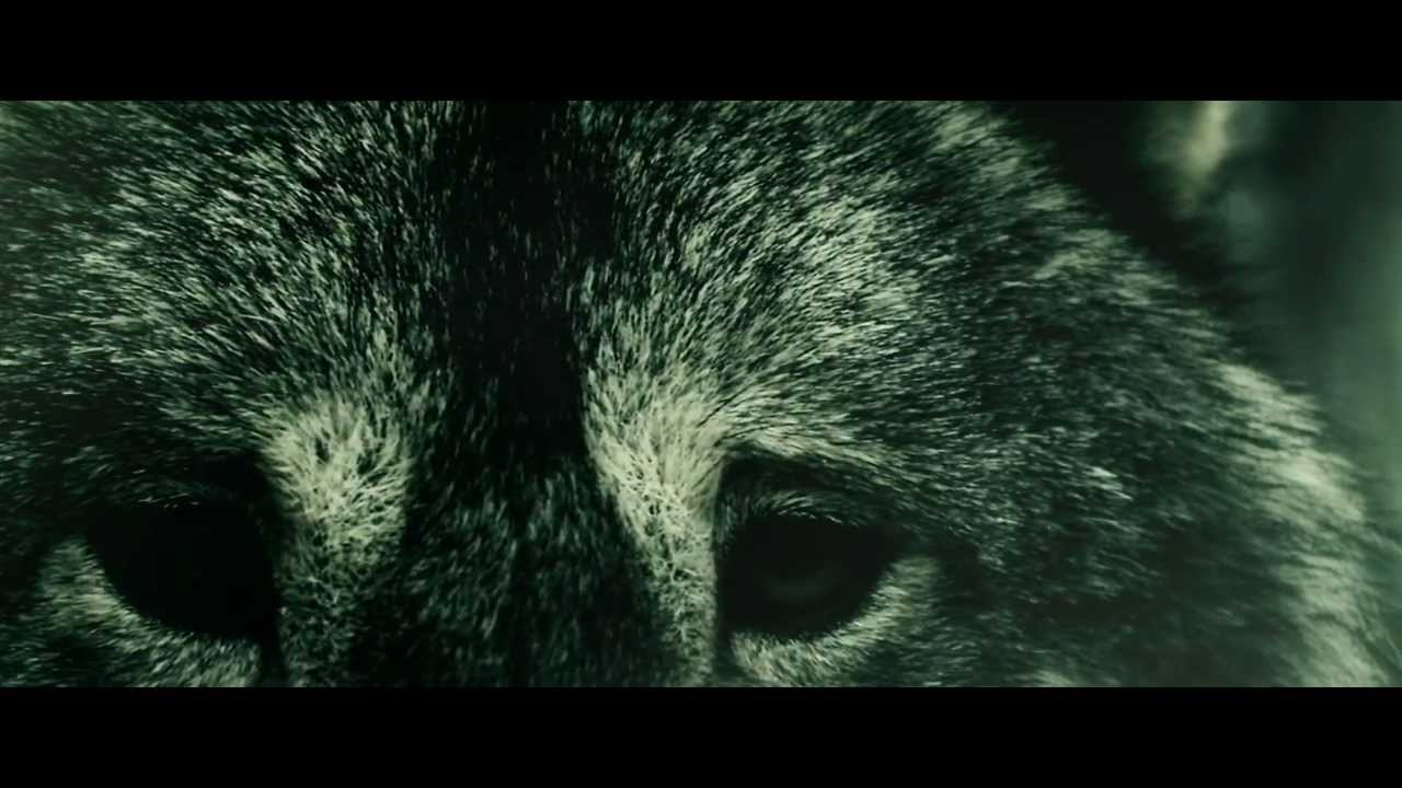 Valerinne - Hysterema (Official Video)