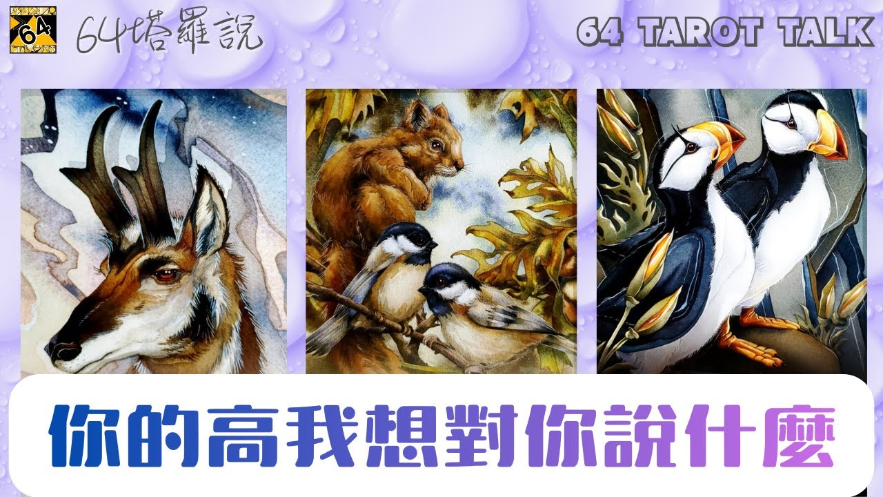 🪶你的高我想對你說什麼🔮塔羅占卜🎁64塔羅說💕64 TAROT TALK⌛TIMELESS🌈PICK A CARD✨