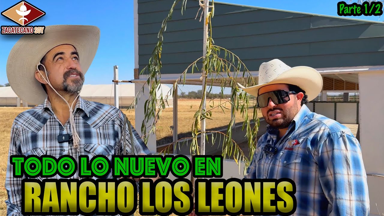 EL RANCHO DE EL ZACATECANO sigue avanzando y SU ÁRBOL SIGUE CRECIENDO 
