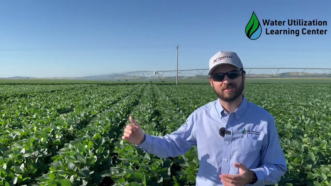 Soybean inoculation + Cobalt + Molybdenum