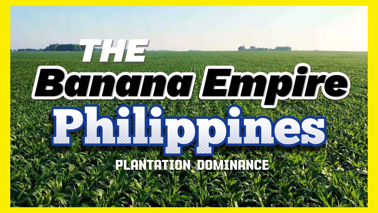 Banana Plantation: Exploring the Philippines' Plantation Dominance