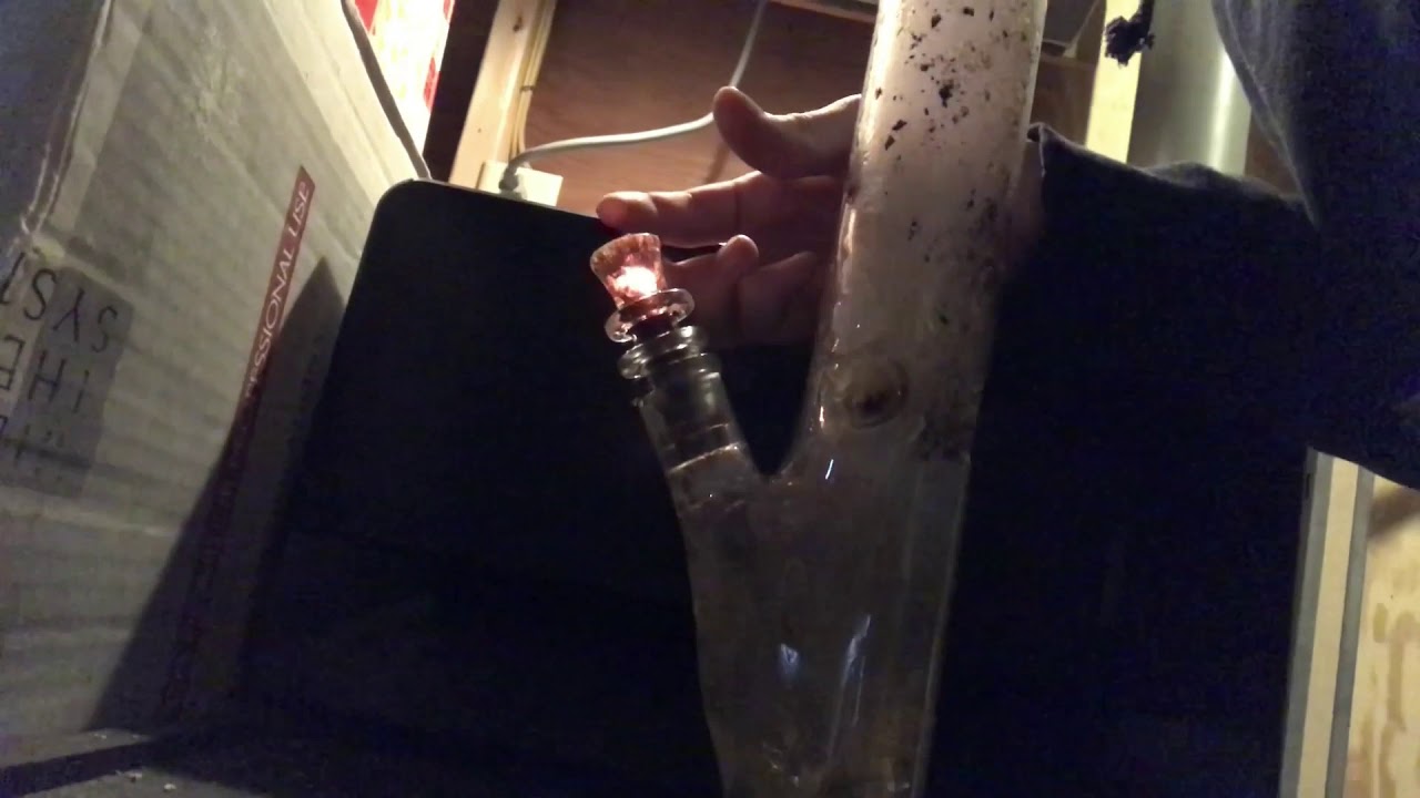 Massive Bong Rips