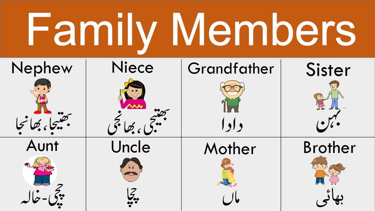 Family Members in English | Members of Family and Relations in Urdu